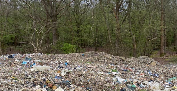 Picture shows a huge pile of rubbish in the foreground with woods behind.